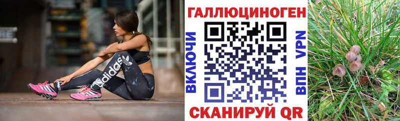 kraken зеркало  Фатеж  Псилоцибиновые грибы прущие грибы 